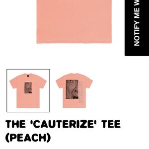 Hundredth Peach Tee size medium